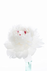 Similar image 2240579