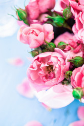 Similar image 2240673