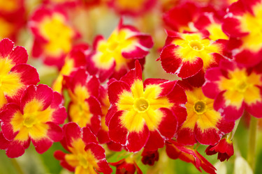 Similar image 2240675