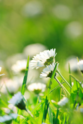 Similar image 2240678