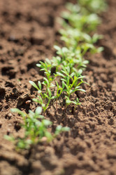 Similar image 2240742