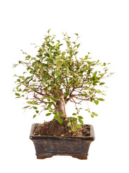 Similar image 2240782