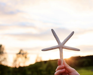 Similar image 2240797