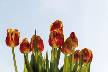 Similar image 2240861