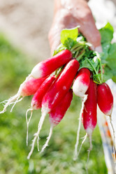 Similar image 2240931