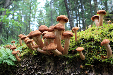 Similar image 2240982