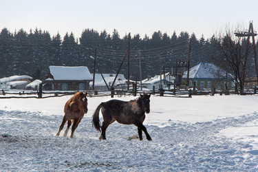 Similar image 2240984