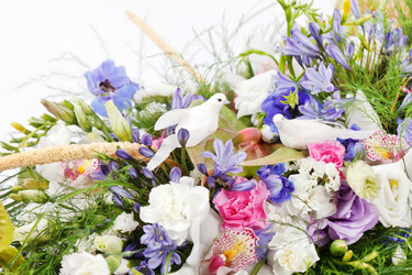 Similar image 2241285