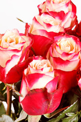 Similar image 2241292