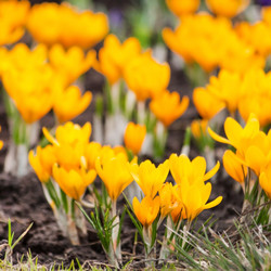 Similar image 2241516