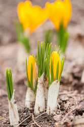 Similar image 2241518