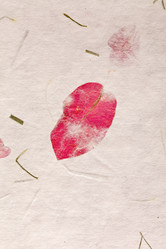 Similar image 2241524