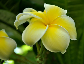 Similar image 2242012