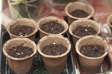 Similar image 2242250