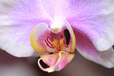 Similar image 2242255