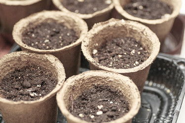 Similar image 2242257