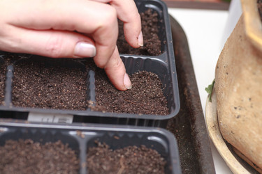 Similar image 2242851