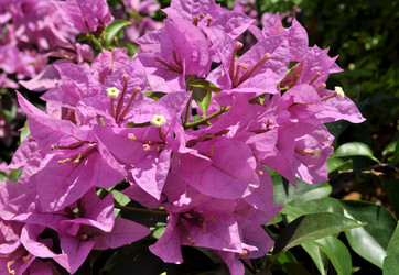 Similar image 2243566