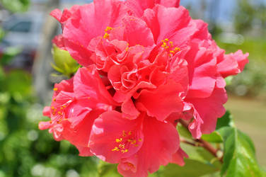 Similar image 2243567