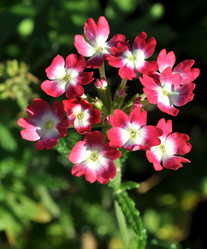 Similar image 2243622