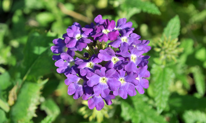 Similar image 2243623