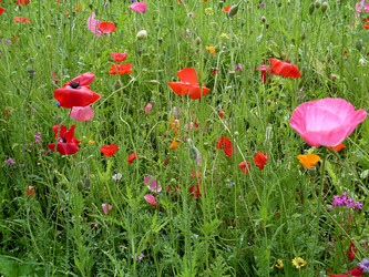 Similar image 2243643