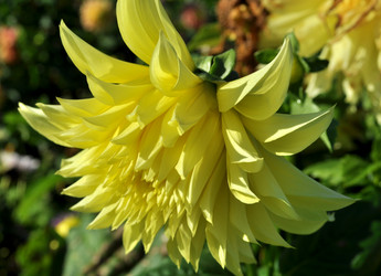 Similar image 2243677