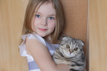 Similar image 2243686