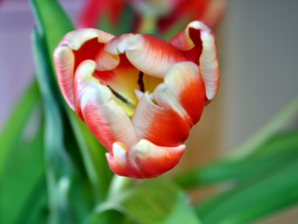 Similar image 2243968