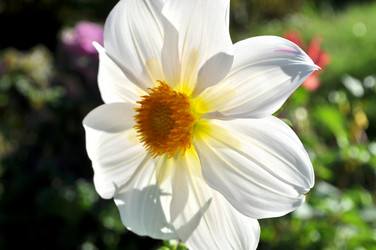 Similar image 2243969