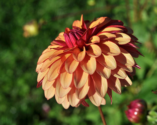 Similar image 2244025