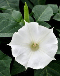 Similar image 2244027