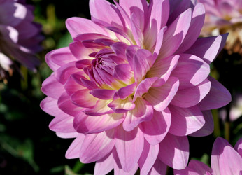 Similar image 2244028