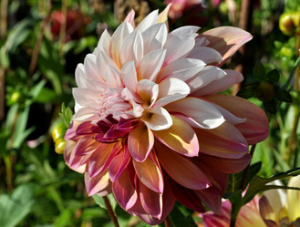 Similar image 2244031