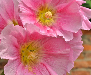 Similar image 2244032