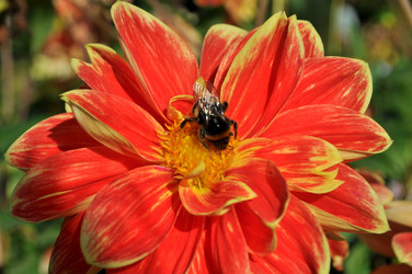 Similar image 2244033