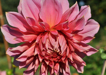 Similar image 2244034