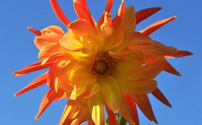 Similar image 2244035