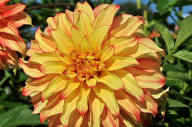 Similar image 2244036