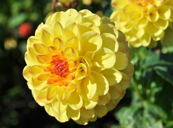 Similar image 2244038