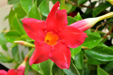 Similar image 2244327