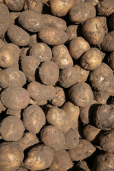 Similar image 2244337