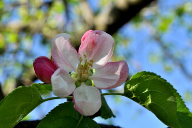 Similar image 2244366