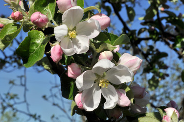 Similar image 2244370