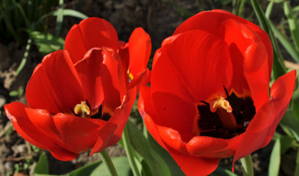 Similar image 2244372