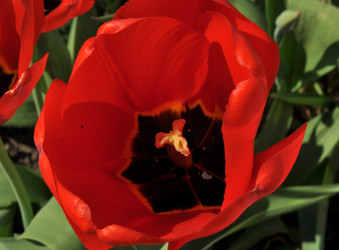 Similar image 2244373