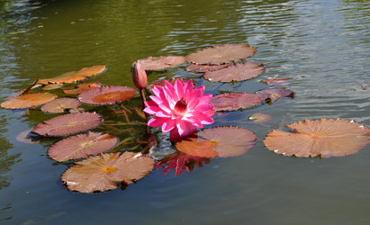 Similar image 2244375