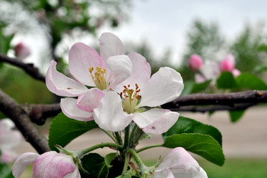 Similar image 2244378