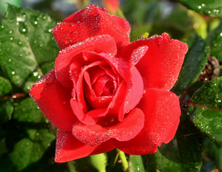 Similar image 2244379