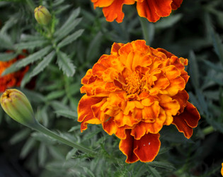 Similar image 2244380